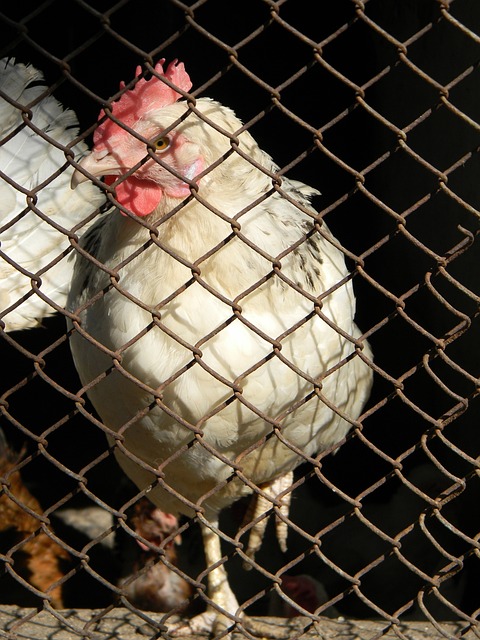 最终使他们 最终使他们