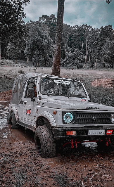 依旧能够创 依旧能够创