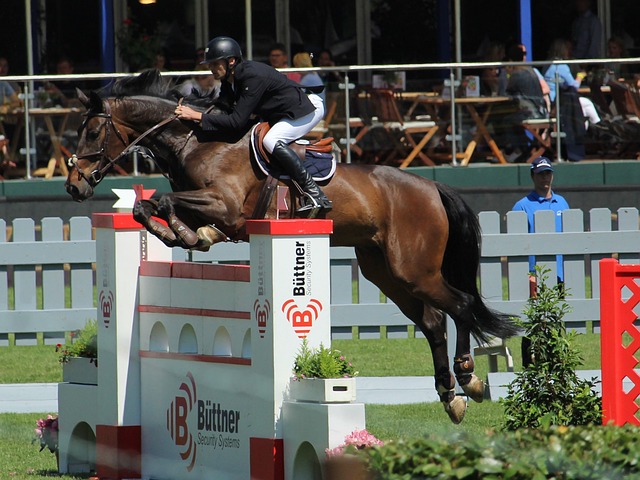 多像庫明加 多像庫明加