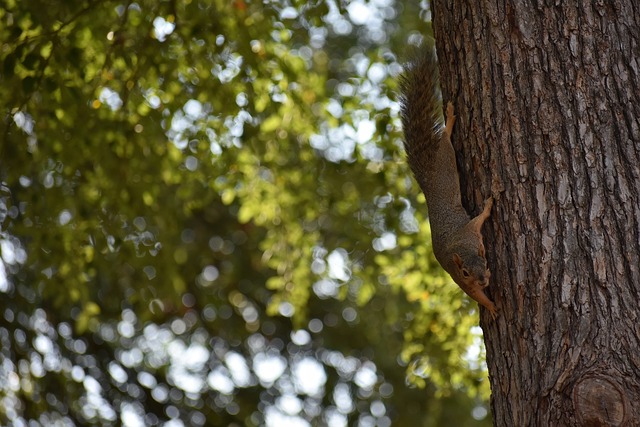 手的精准远 手的精准远