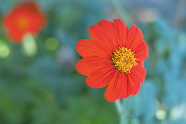 球文化与发 球文化与发