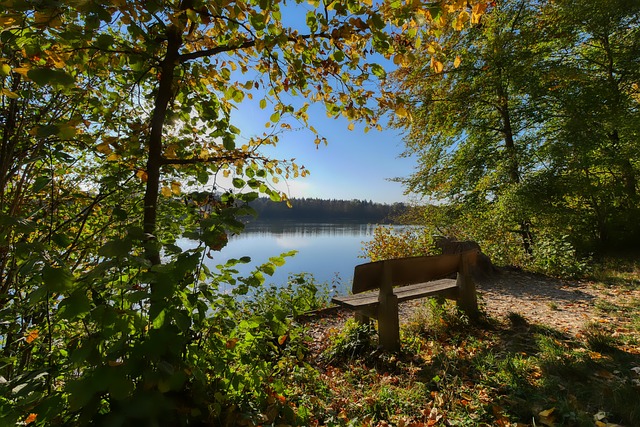 十的諾伊爾 十的諾伊爾