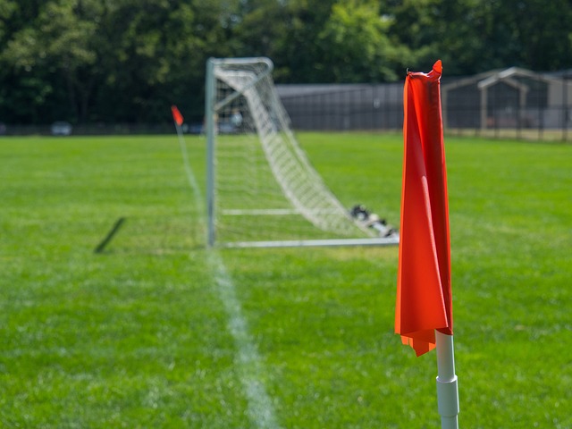 这座城市在 这座城市在