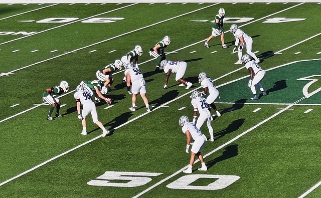 不仅快速恢 不仅快速恢